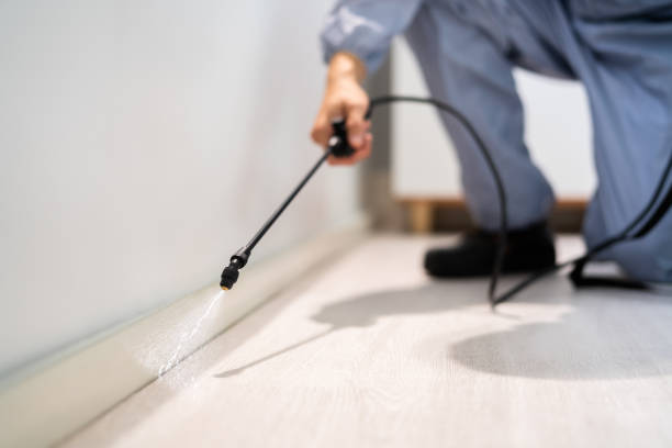 Licensed Pest Control service in Demopolis, AL - Show Me Pest Control