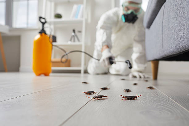 Commercial Kitchen Cockroach Control in Demopolis